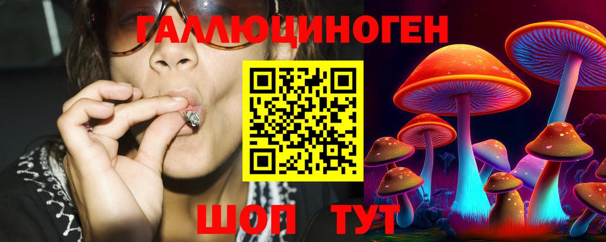 Галлюциногенные грибы мицелий  Галлюциногенные грибы мицелий  Нерюнгри  Вход с VPN 